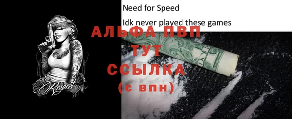 шишки Абаза