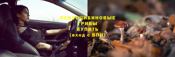 шишки Абаза