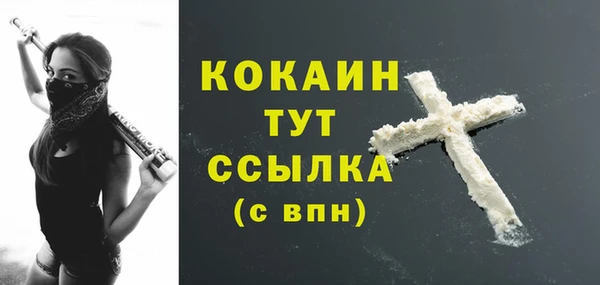 шишки Абаза