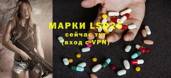 шишки Абаза