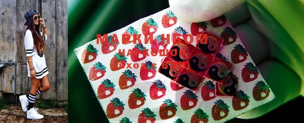 шишки Абаза