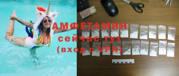 мдпв Горнозаводск