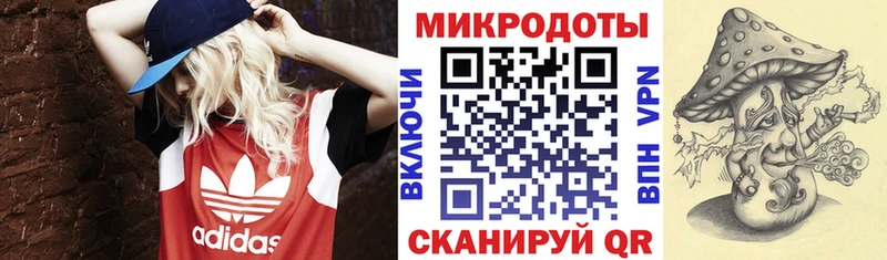 Галлюциногенные грибы Psilocybine cubensis  продажа наркотиков  Сольцы 